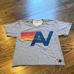 Aviator Nation Heather Grey Tee with Navy Logo and Sunset Stripe